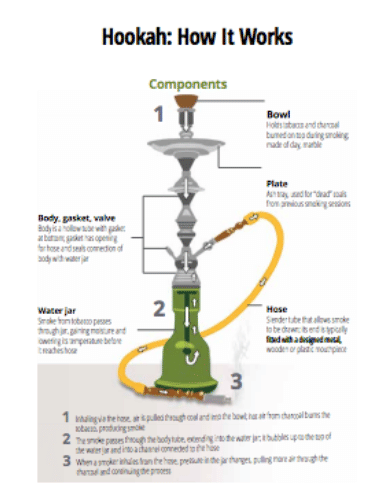 The well-crafted hookah evokes an image of
feminine beauty with its elegant and curvy profile